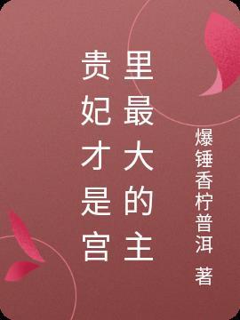 贵妃在什么宫殿