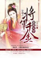 穿越之将军千金傲视风华