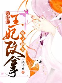 穿越王妃要改嫁