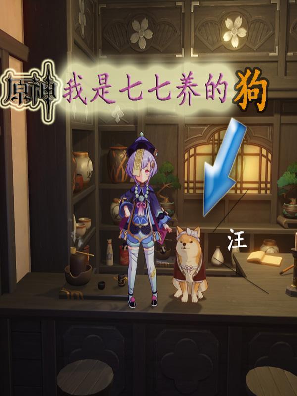 原神七七养成攻略