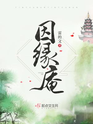 因缘庵讲什么内容