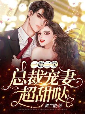一胎二宝总裁宠妻火辣辣