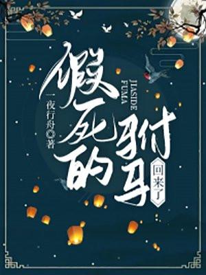 假死的驸马回来了一夜行舟