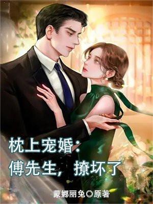 傅先生的枕边宠