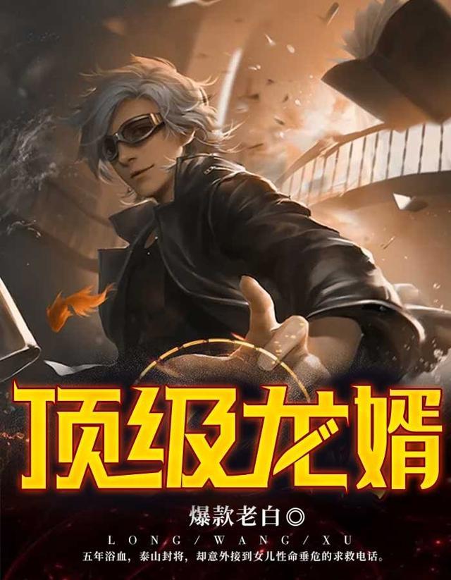 顶级神婿