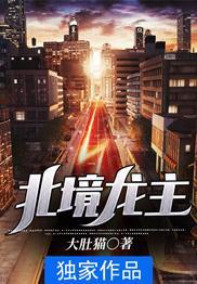 北境龙主宁风免费阅读