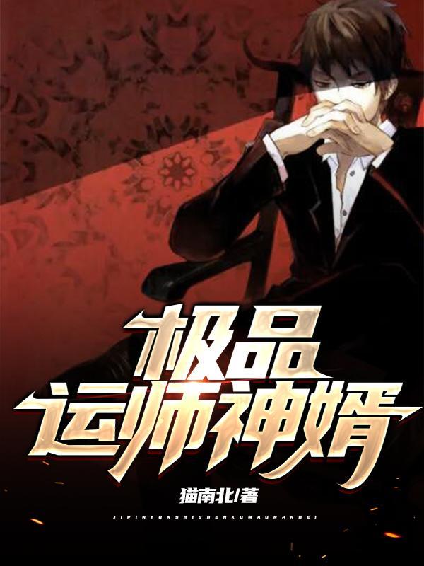 极品神婿全集免费