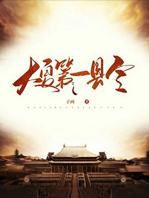 大夏第一县令在线看