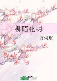 柳暗花明又一村