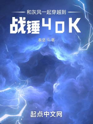 和灰风一起穿越到战锤40k无防盗