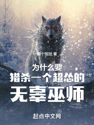 为什么要猎杀一个超怂的无辜巫师评价