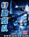 特勤舰队怎么没了
