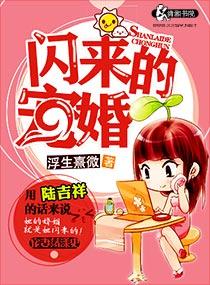 闪来的暖婚结局没写完吧