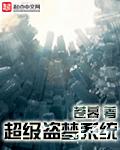 超级盗贼在线