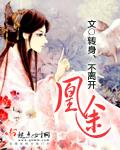 凰途似锦易次元攻略