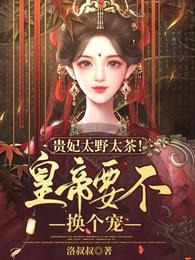 贵太妃简介