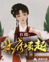 红楼林府崛起女主是谁
