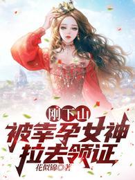 被幸孕女神拉去领证全集阅读