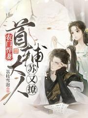 农门悍妻首辅大人入赘吧