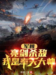 我是奉天大帅免费阅读