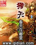 猎天使魔女2有PC版吗