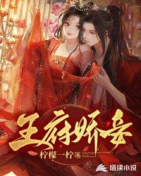 王府娇妾 柠檬一柠
