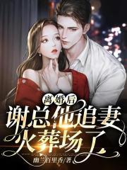 离婚后追妻火葬场