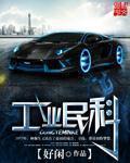 工业民科全本TXT