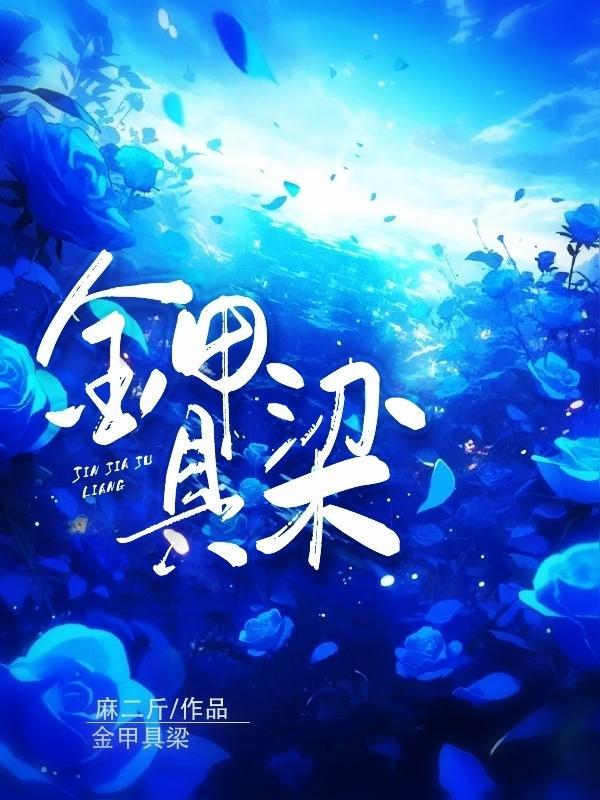 金甲是指
