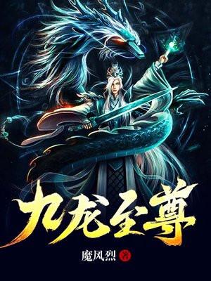 九龙至尊陈九