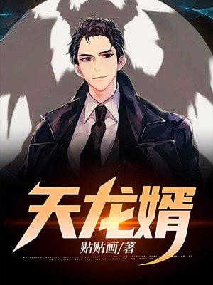 凌天龙婿阅读免费