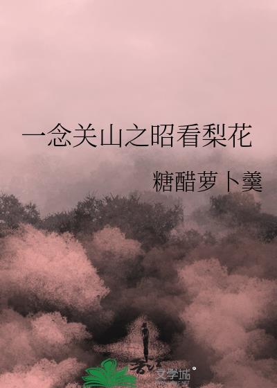 一念关山 昭节皇后