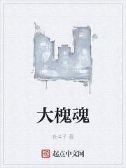 大槐魂金斗子最后和谁在一起了
