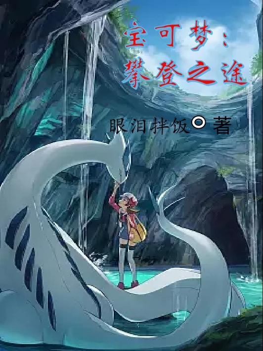 神奇宝贝攀登岩石技能