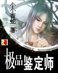 极品鉴定师好看吗