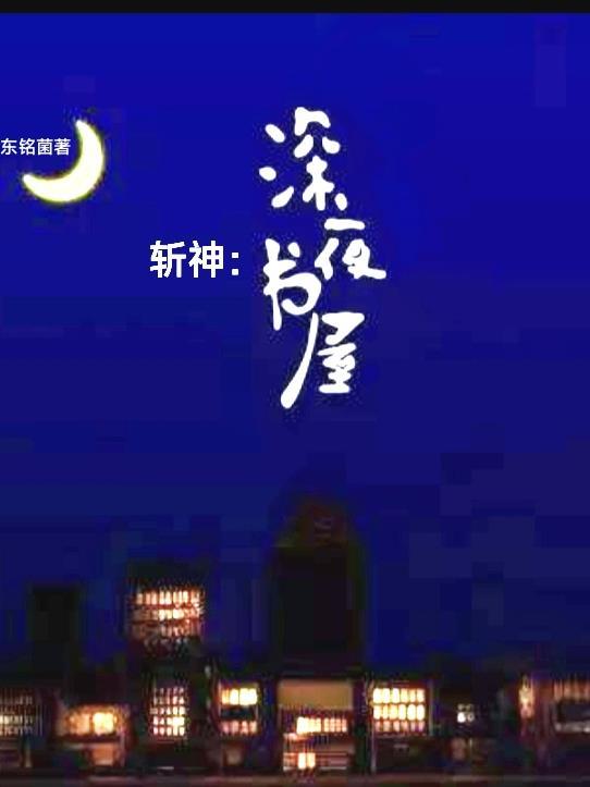 斩夜剧情