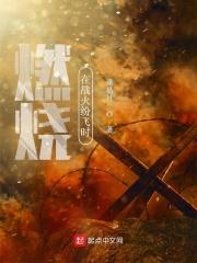 歌曲火焰在燃烧