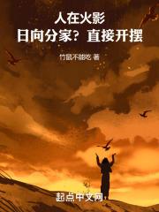 日在火影讲的是什么