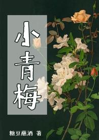 小青梅(np)糖豆蘸酒作者其他作品