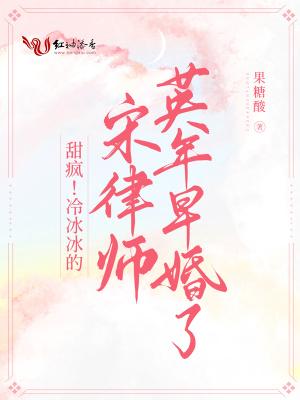 宋冰心律师