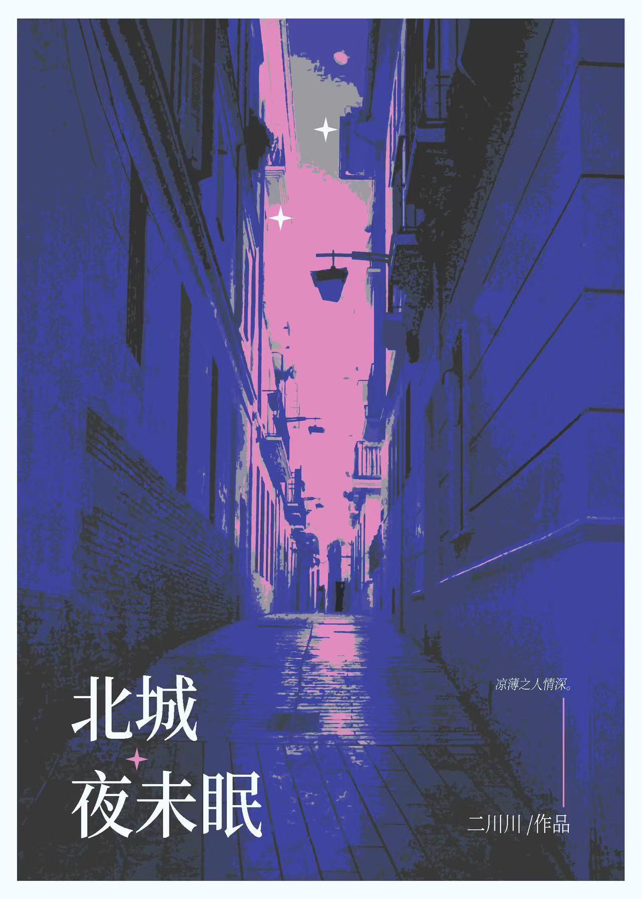 北城夜未眠讲什么