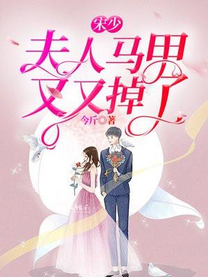 宋缺夫人