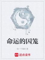 命运的牢笼完结