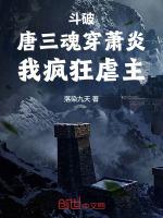 唐三穿越斗破爱上萧炎
