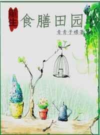 食膳家怎么样
