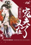 神医王妃又轰动京城了笔趣阁