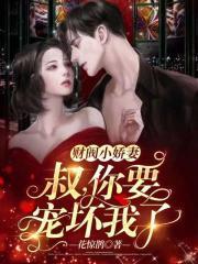 江少宠妻无节制txt资源