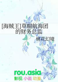 海贼王草帽航海团的财务总监