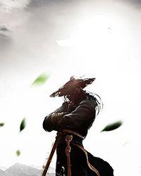 女主叫江九黎的