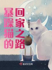 暴躁猫咪